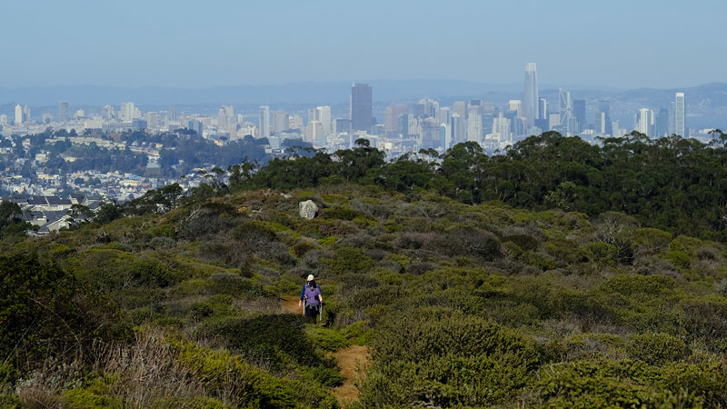 View of San Francisco along the trail to San Bruno Mountain [Jan 2021]