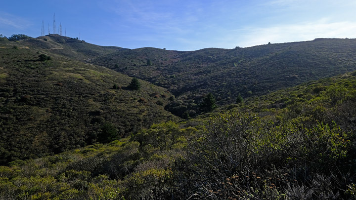 San Bruno Mountain [Jan 2021]
