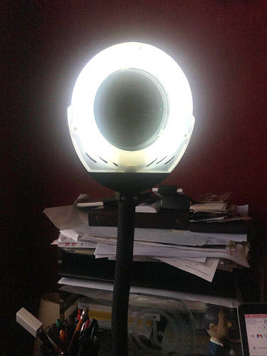 I Love Lamp! (Jan 2021) I Love Lamp! (Jan 2021)